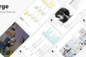 Kerge v.4.1.4 – 简历vCard WordPress 主题下载