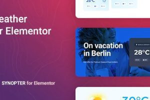 Synopter Weather for Elementor v.1.1.11 Elementor天气预报插件下载