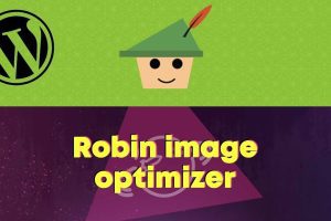 Webcraftic Robin image optimizer PRO v.1.8.4 – WordPress图片优化插件下载