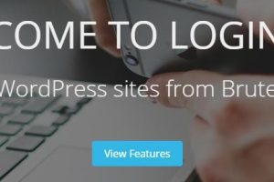 Loginizer Security Pro(Loginizer Premium) v2.1.0  防止网站被暴力攻击插件下载