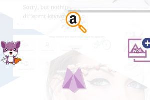 WooZone v15.0.0 – Amazon 联盟营销资源包下载