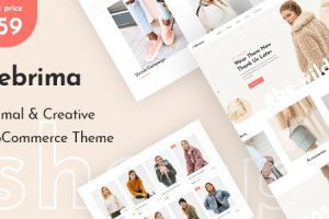 Ebrima v.1.2.10 – 极简和创意的WooCommerce WP主题下载