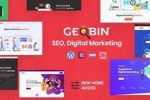 GeoBin  v2.7.3 – 数字营销机构，SEO WP 主题下载