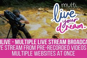MultiLive v1.1.0 – 适用于 WordPress 的多个直播直播插件下载