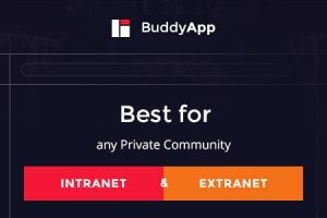 BuddyApp v1.9.2 – 专门的手机移动端社区WordPress主题