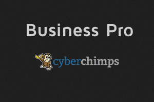 CyberChimps – Business Pro 4 4.3 主题下载