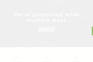 ThemeIsle Naturelle WordPress Theme 1.0.5