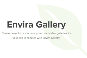 Envira Gallery Pro 1.13.2 核心插件下载