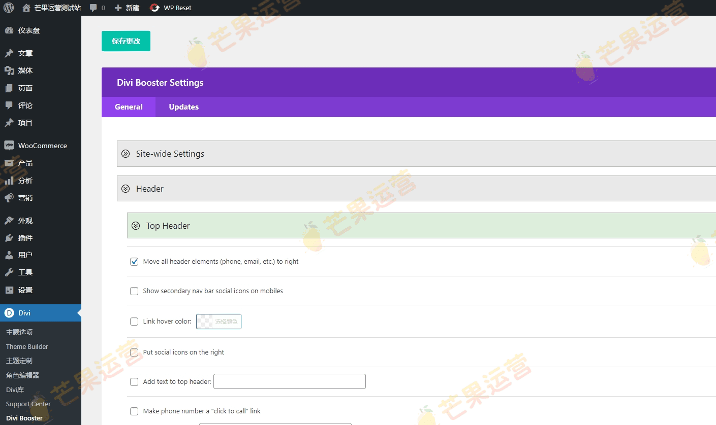 Divi Booster 插件破解版下载