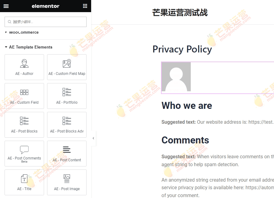Anywhere Elementor Pro 插件破解版下载
