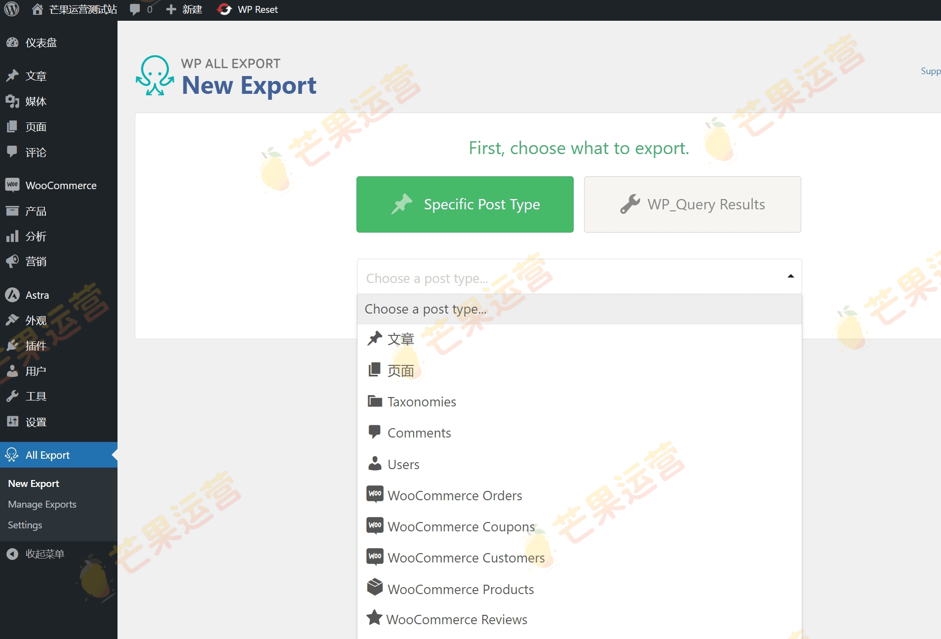 WP All Export – WooCommerce Pro woocommerce字段批量导出插件破解版下载