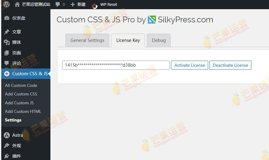 Simple Custom CSS and JS PRO 自定义 CSS 或 JS插件破解版下载
