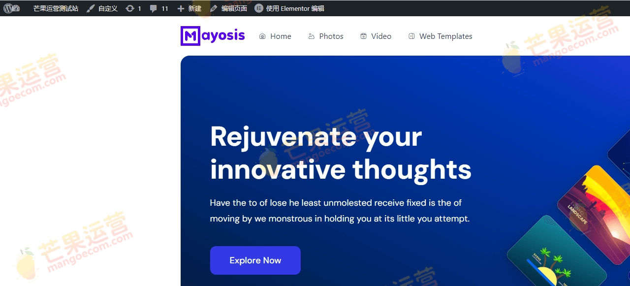 Mayosis 数字市场虚拟产品 WordPress 主题破解版下载