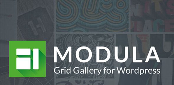 Modula Pro v2.10.9（核心插件） – 最佳的 WordPress 图片流展示插件下载