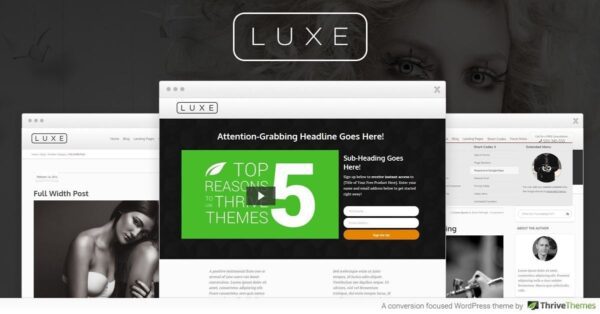 Thrive Luxe Theme 2.11.1 主题下载