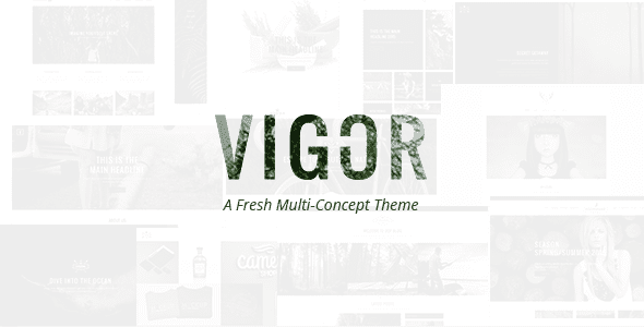Vigor v3.3 – 复古WordPress主题下载