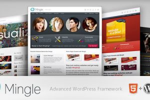 Mingle v.1.8.6 – 多用途WordPress主题下载