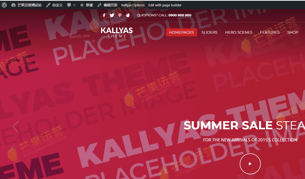 KALLYAS 响应式多用途WordPress主题破解版下载