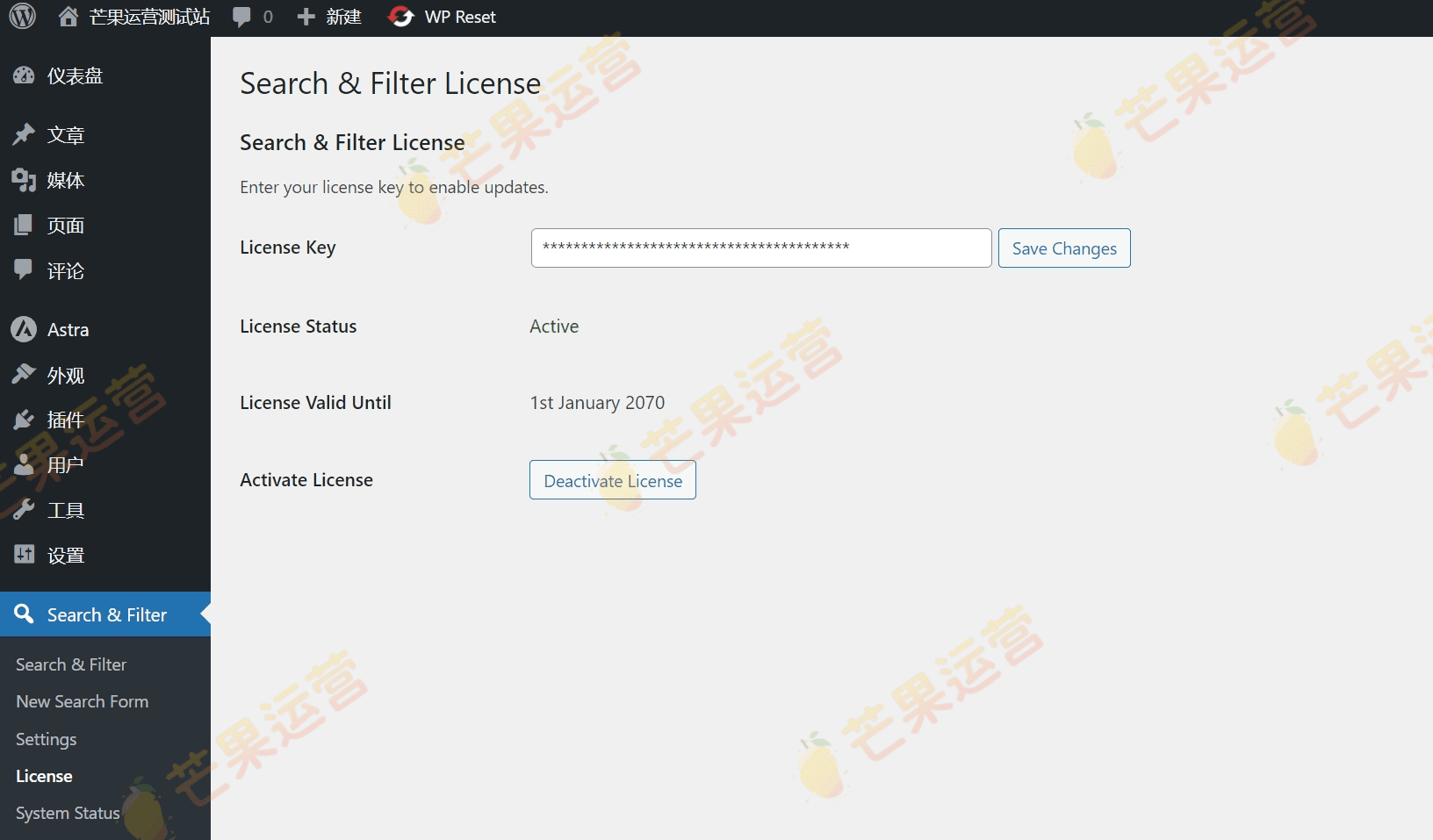 Search & Filter Pro 组件 WordPress多级搜索过滤插件破解版下载