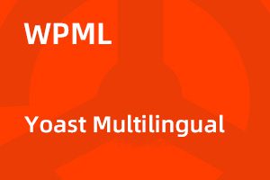 WPML Yoast Multilingual v2.2.5 YoastSEO 多语言适配拓展｜功能详解与正版选购
