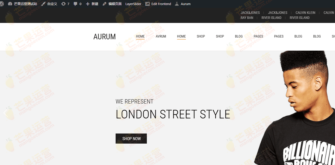 Aurum 极简购物主题破解版下载