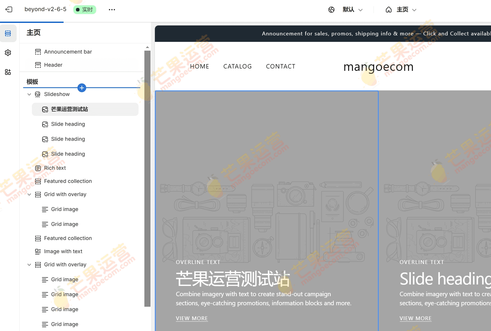 Beyond Shopify主题破解版下载