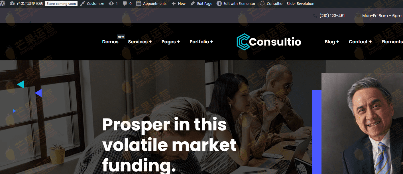 Consultio 企业咨询WordPress主题破解下载