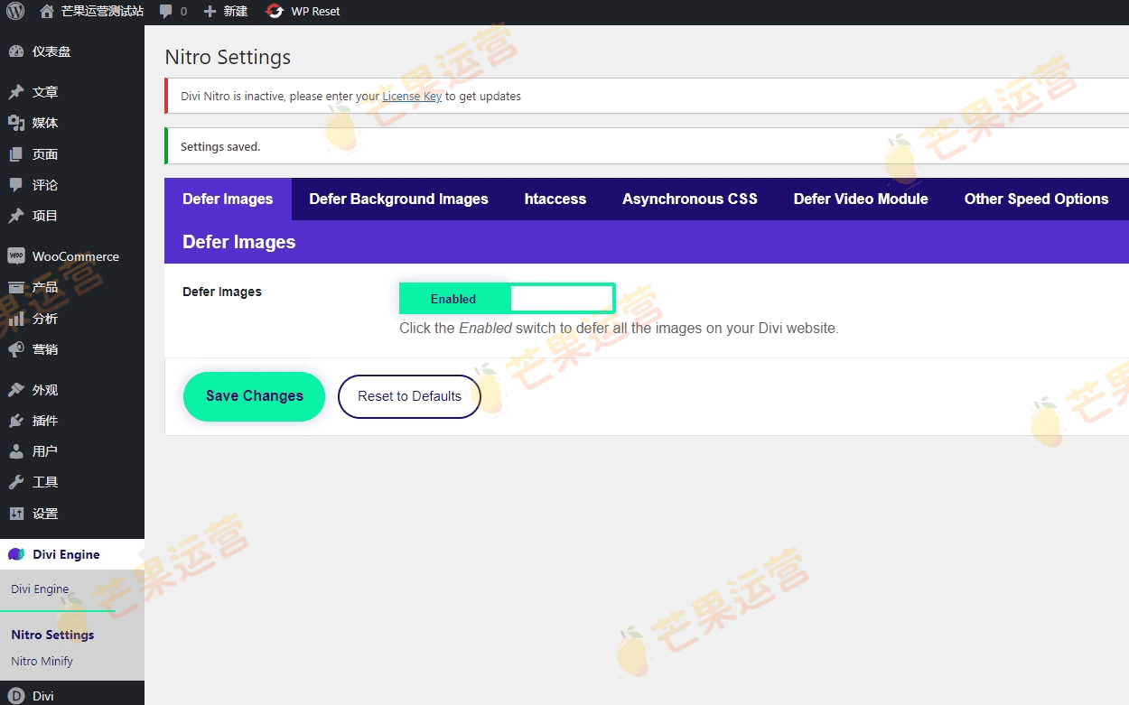 Divi Nitro 使用 Divi Nitro 加速 Divi主题插件破解版下载