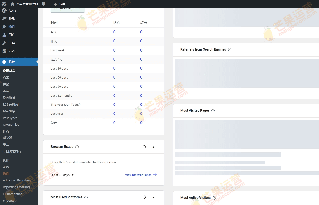 WP Statistics Premium Addons Bundle 网站访客数据统计插件破解版下载