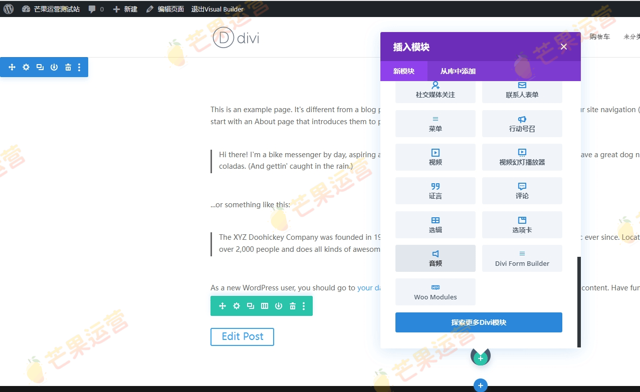 Divi Form Builder 最好的Divi联系表单生成器插件破解版下载
