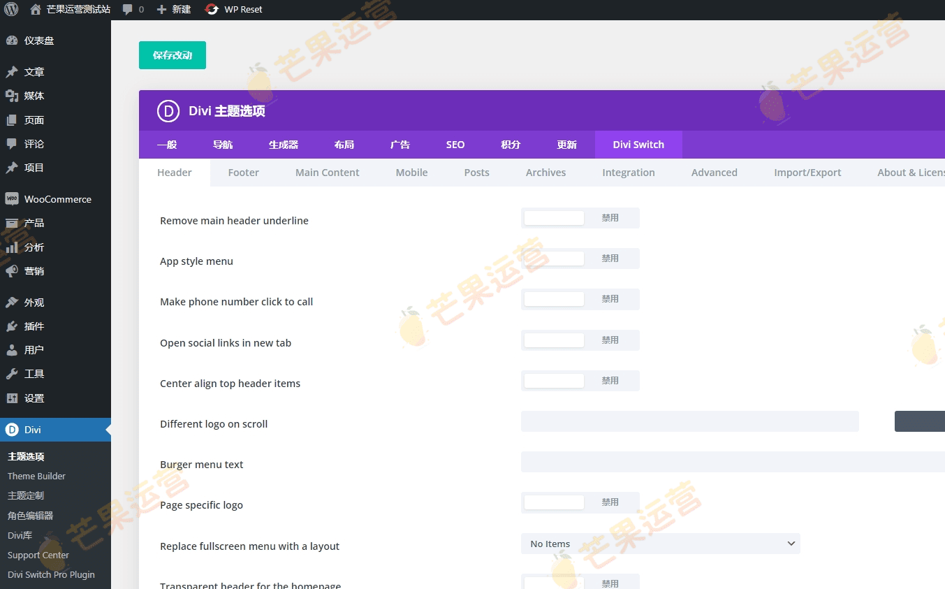 Divi Switch Pro GPL 插件破解版下载