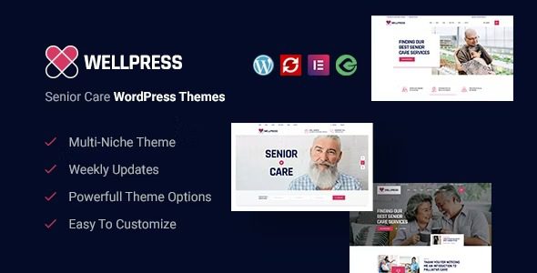 WellPress v3.0.0 – 高级护理 WordPress 主题下载