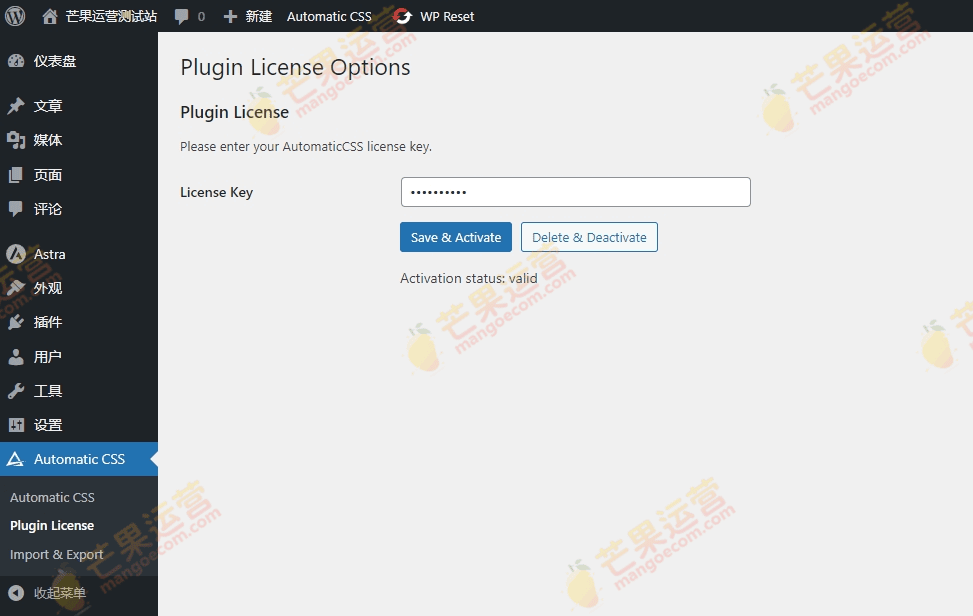 Automatic.css Utility Framework for WordPress Page Builders 页面构建器插件破解版下载