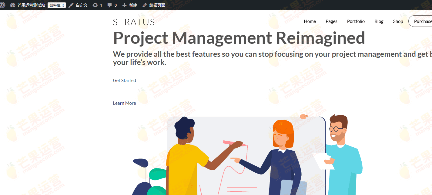 Stratus 应用程序、SaaS 和软件启动技术主题下载