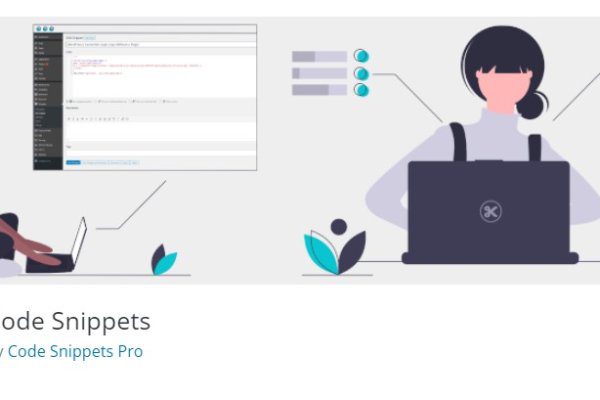 Code Snippets Pro v3.9.6 自定义代码或 CSS插件下载