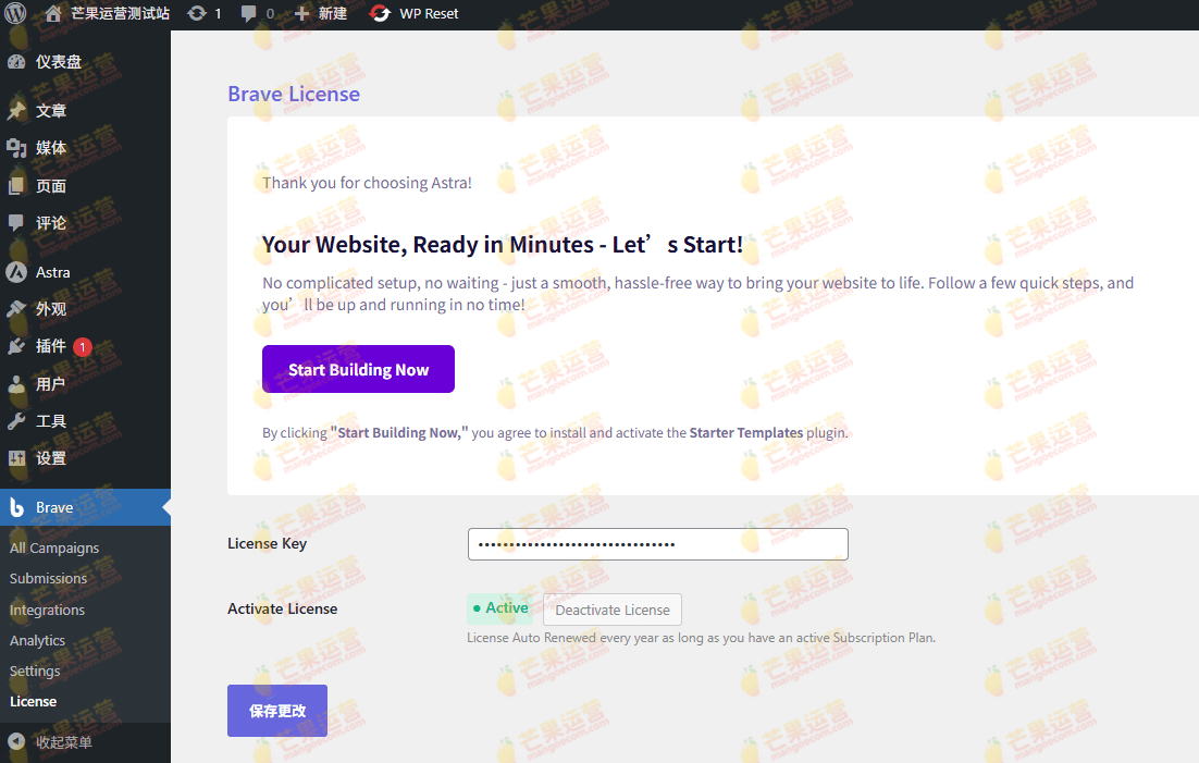 Brave WordPress Popup Builder Pro WordPress 营销弹窗构建器插件破解版下载