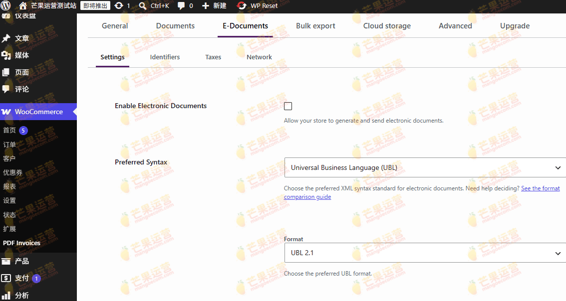 PDF Invoices & Packing Slips for WooCommerce - Professional  pdf发票插件破解版下载