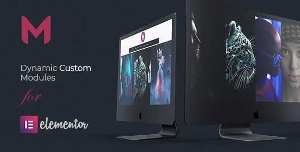 Modulify v1.5 | Elementor Page Builder 的模块插件破解版下载