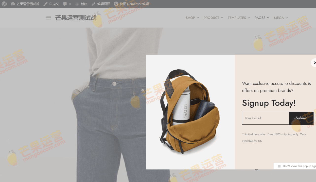 Styler Elementor 电子商务 WooCommerce 主题破解版下载