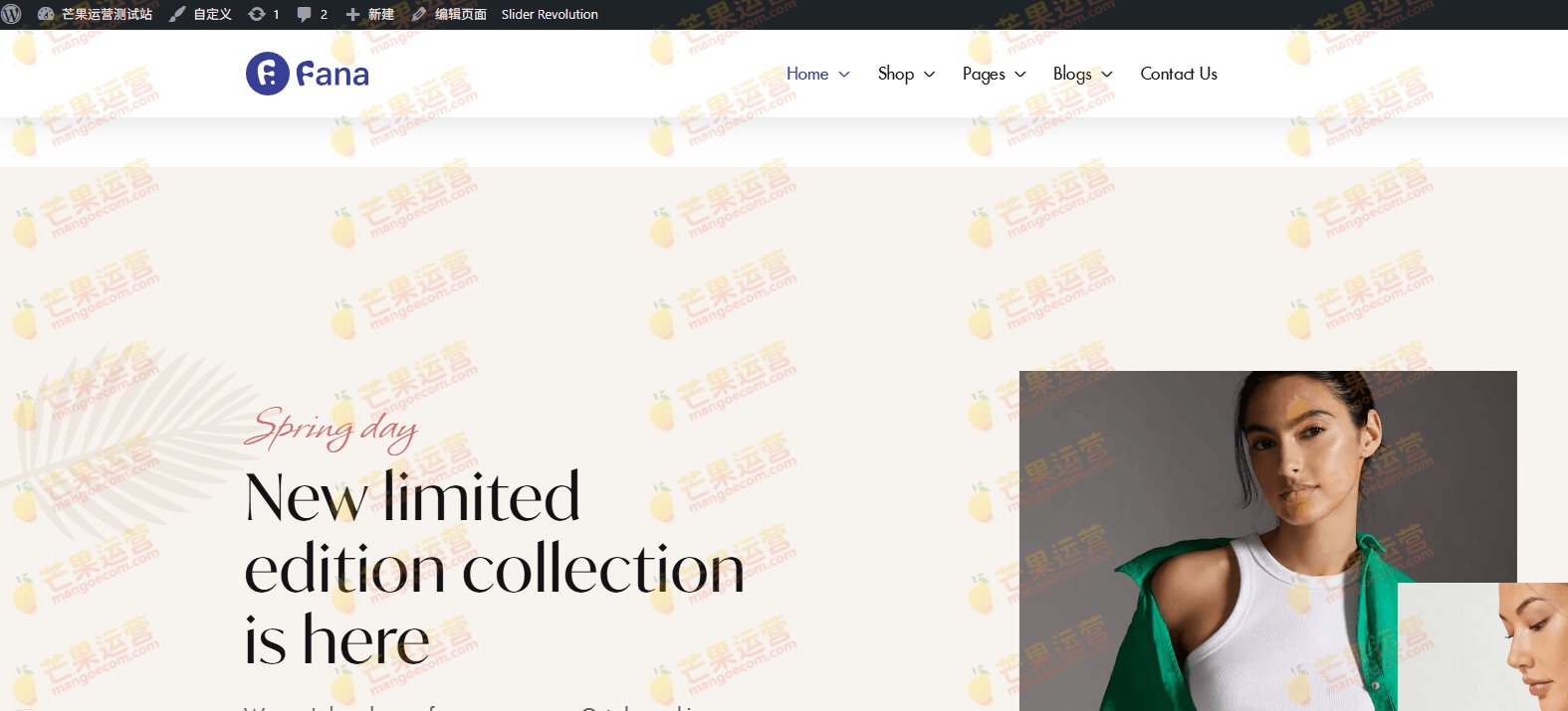 Fana 时装店 WordPress 主题安装下载