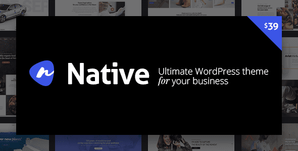 Native v1.7.14 – 时尚的多用途创意 WP 主题破解版下载