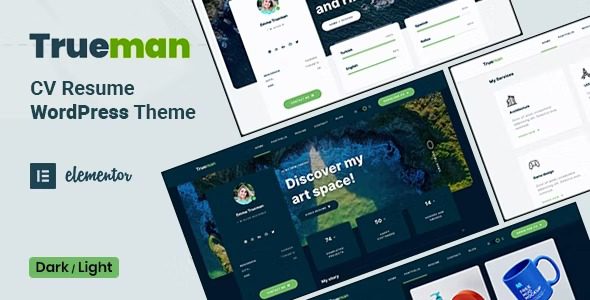 Trueman v1.1.9 – 简历 WordPress 主题下载