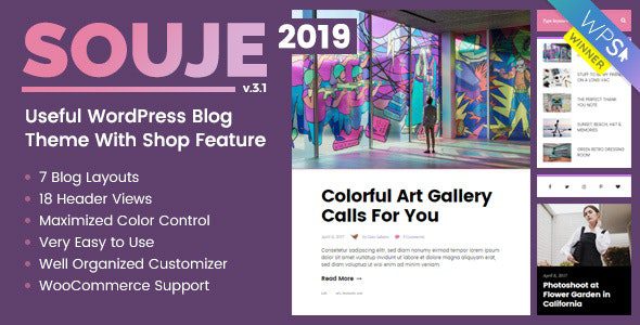 Souje v5.0.6 – 个人 WordPress 博客主题下载