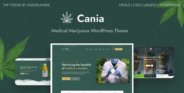 Cania v1.0.3 – 大麻医疗 WordPress注意下载