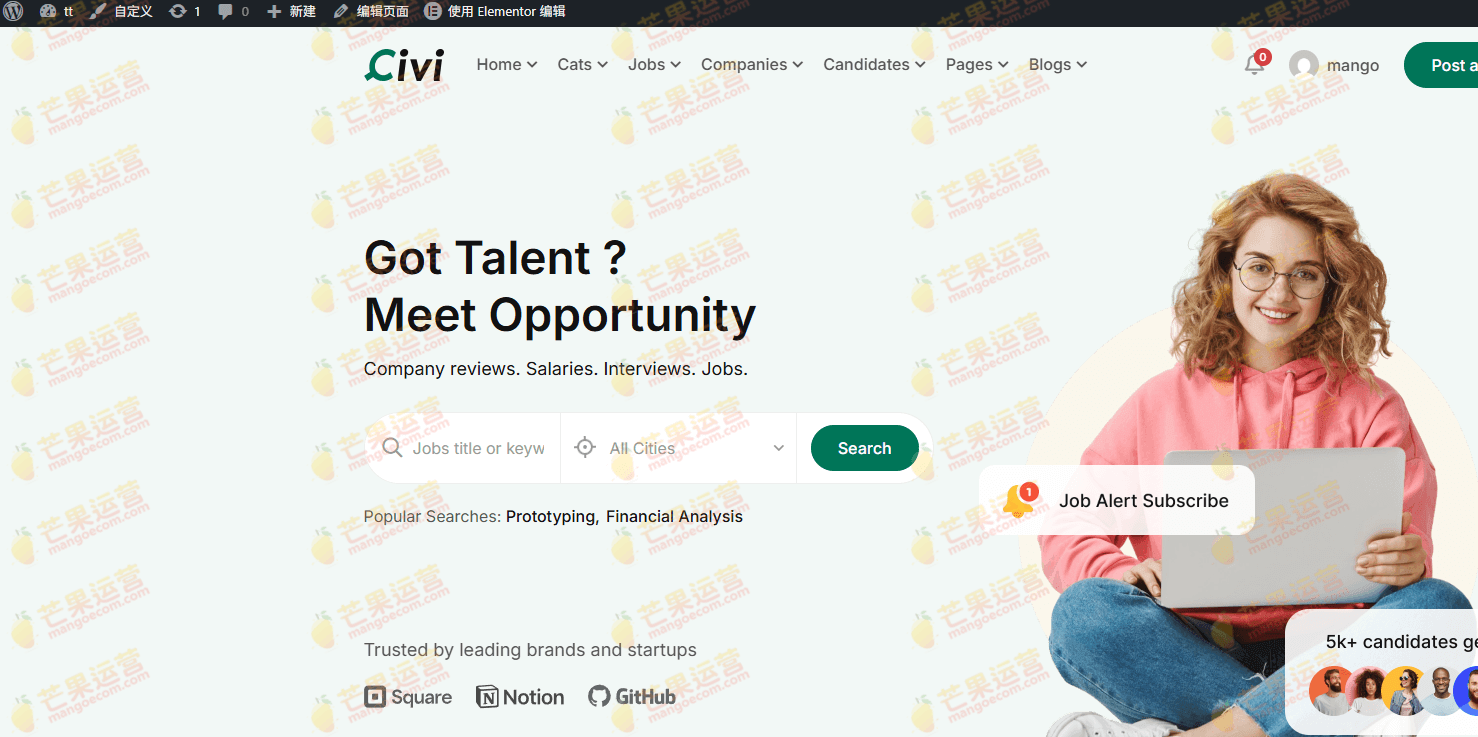 Civi 求职板 WordPress 主题破解版下载