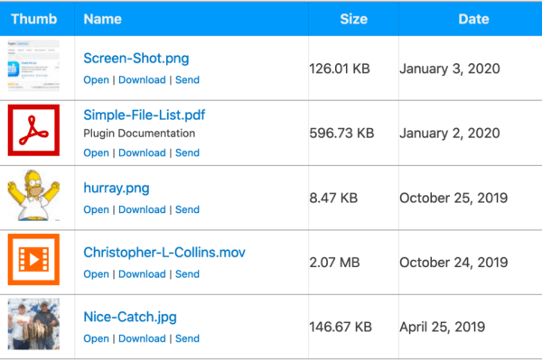 Simple File List Pro v6.1.10 插件下载