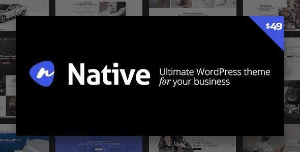 Native v1.6.9.7 – 时尚多用途创意WP主题下载