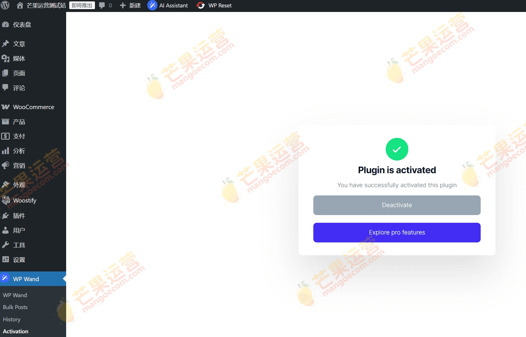WP Wand Pro WordPress ai内容生成插件破解版下载