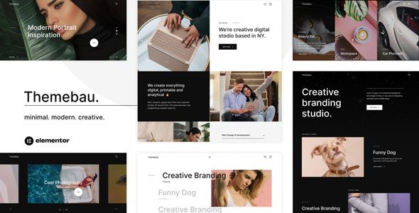 Themebau v1.0.0 – 最小组合和代理 WordPress 主题下载