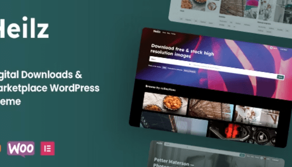 Heilz v2.5.0 数字下载和市场 WordPress 主题下载 [已激活]